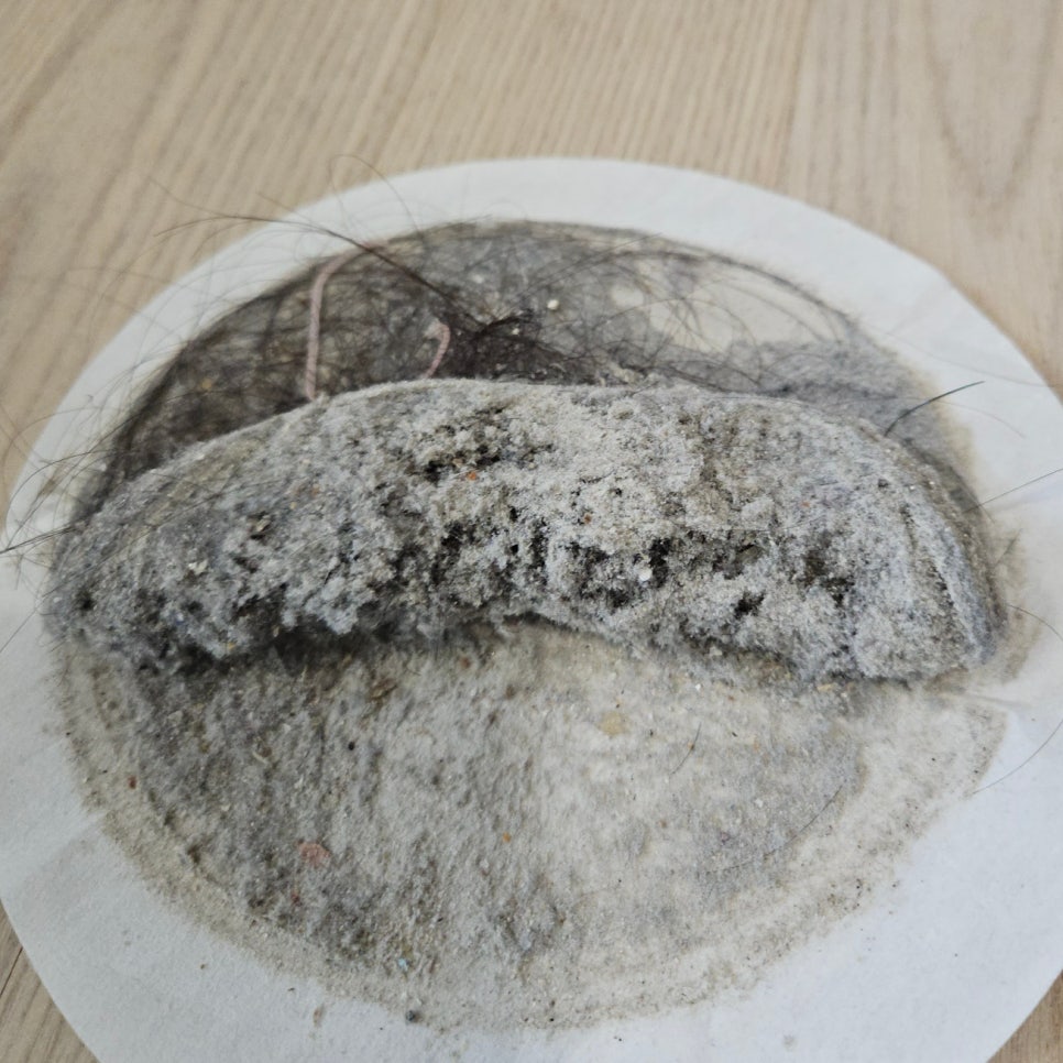 부산물세탁 이미지