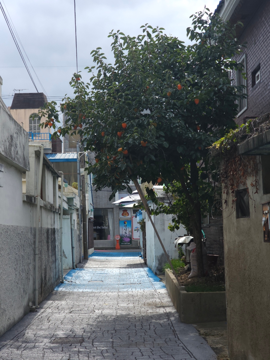어바웃더베이크 이미지