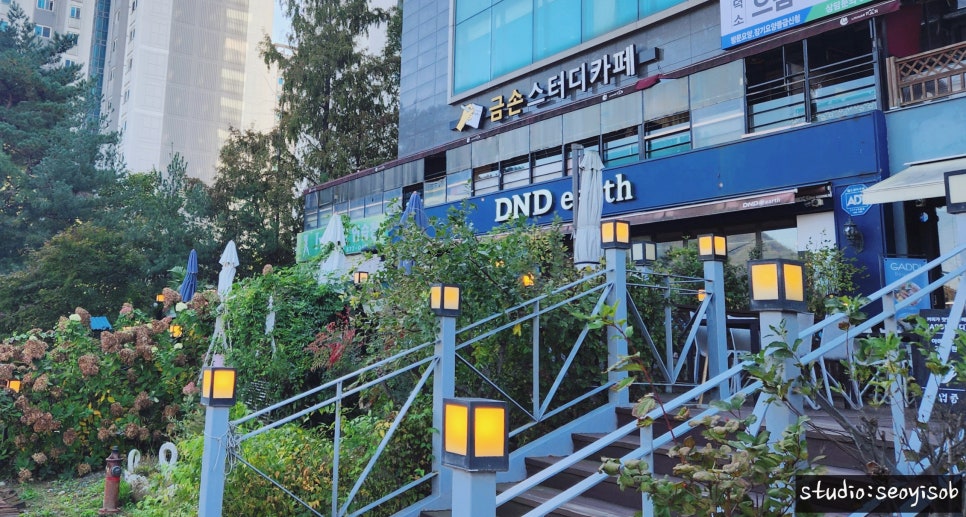 디엔디어스 이미지