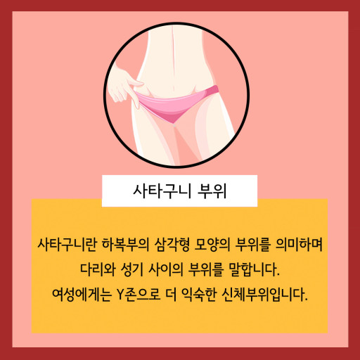 라라왁싱 이미지