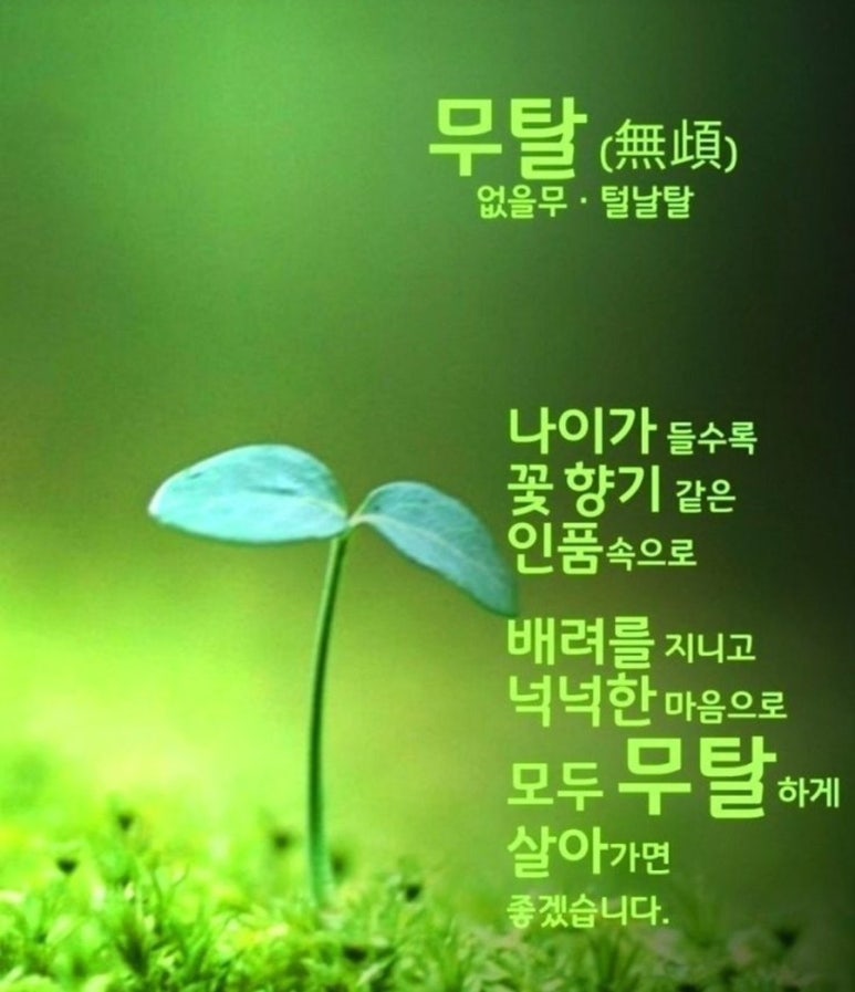 하늘 국밥 이미지