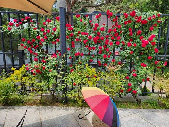 이야기카페 이미지