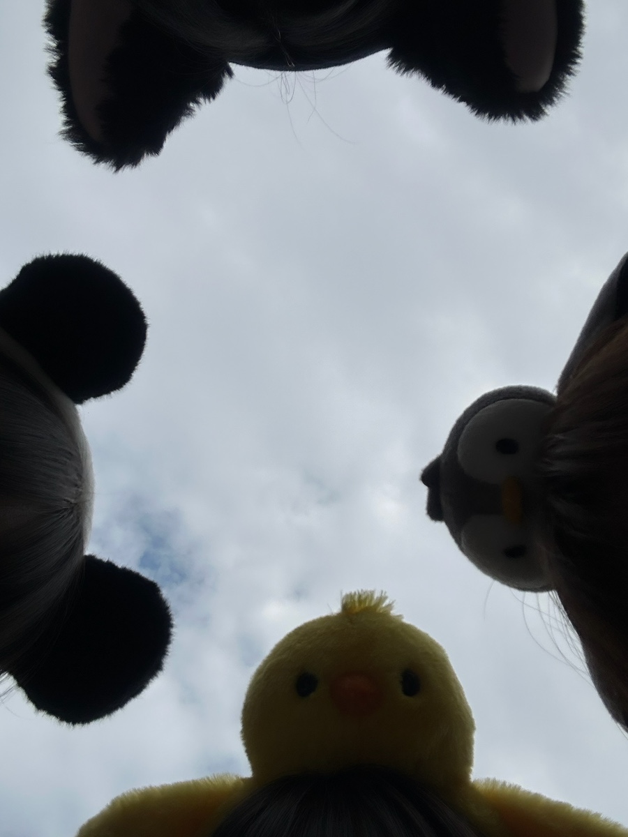 우리나이스랜드 이미지