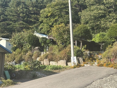 능골엄나무토종닭 이미지