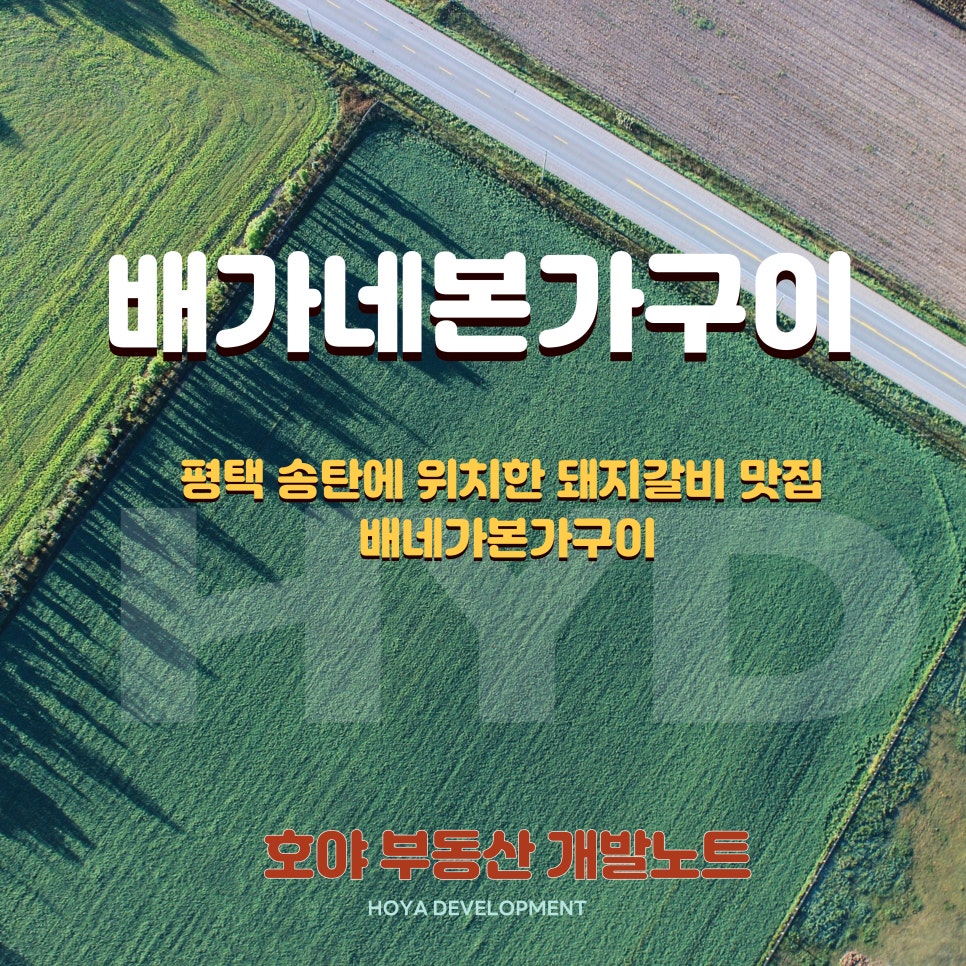 배가네본가구이 이미지