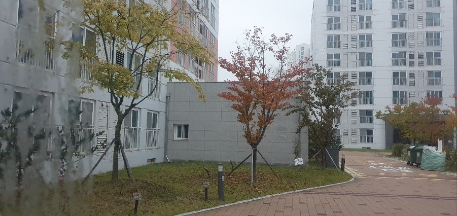 천마기술단 이미지