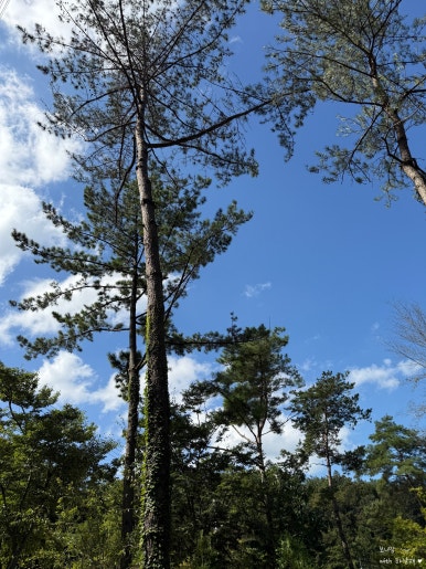 (주)러블레싱 이미지