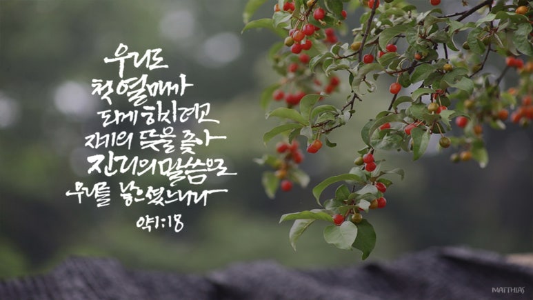시온기독교 이미지