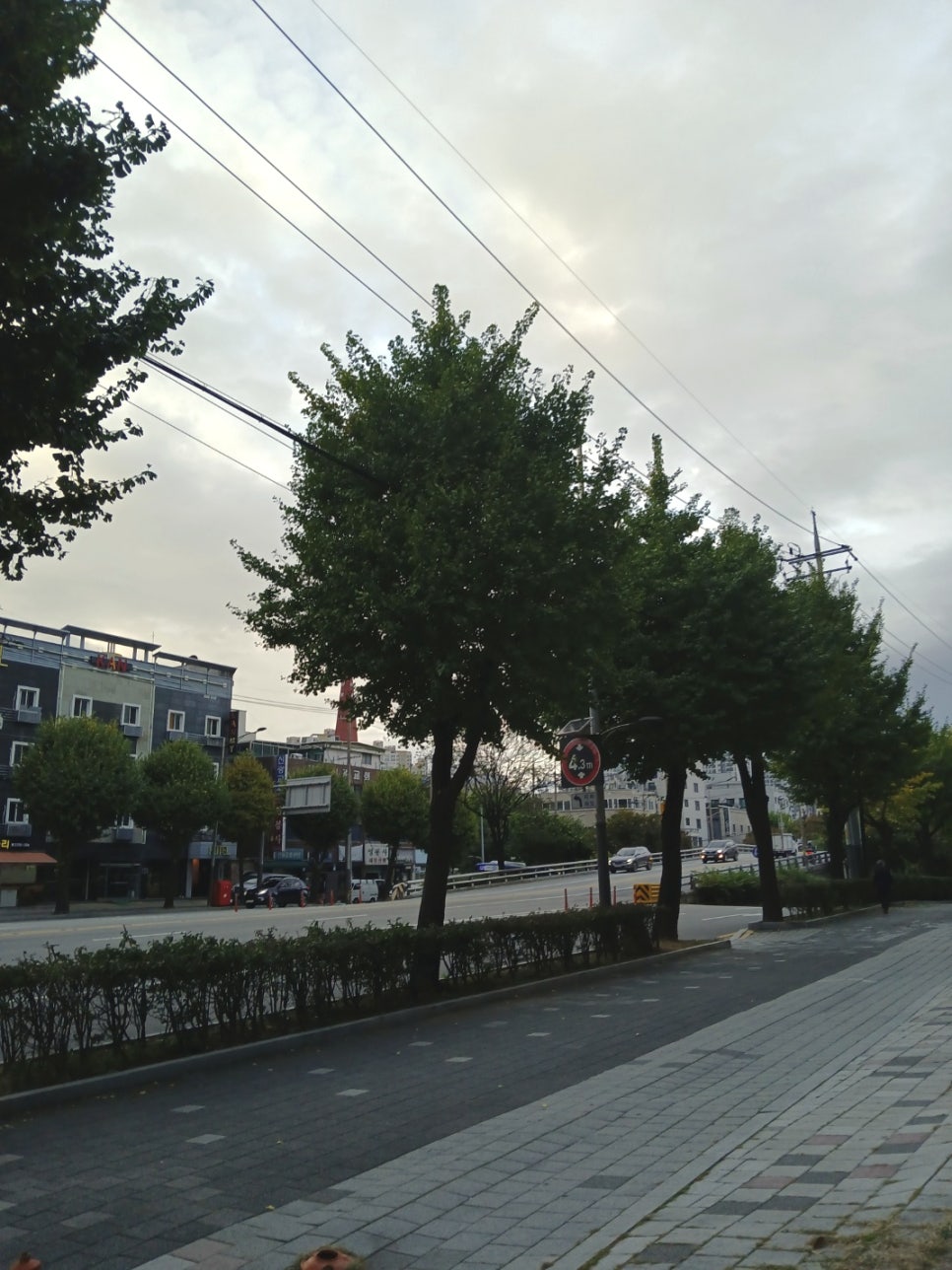 직선퍼스널트레이닝 이미지