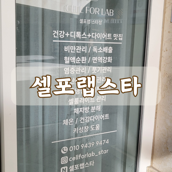 셀포랩스타 이미지