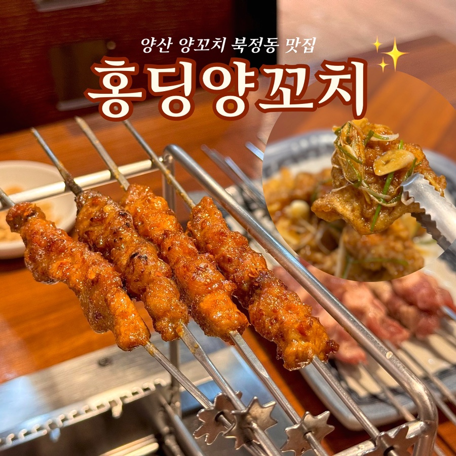 홍딩양꼬치 이미지