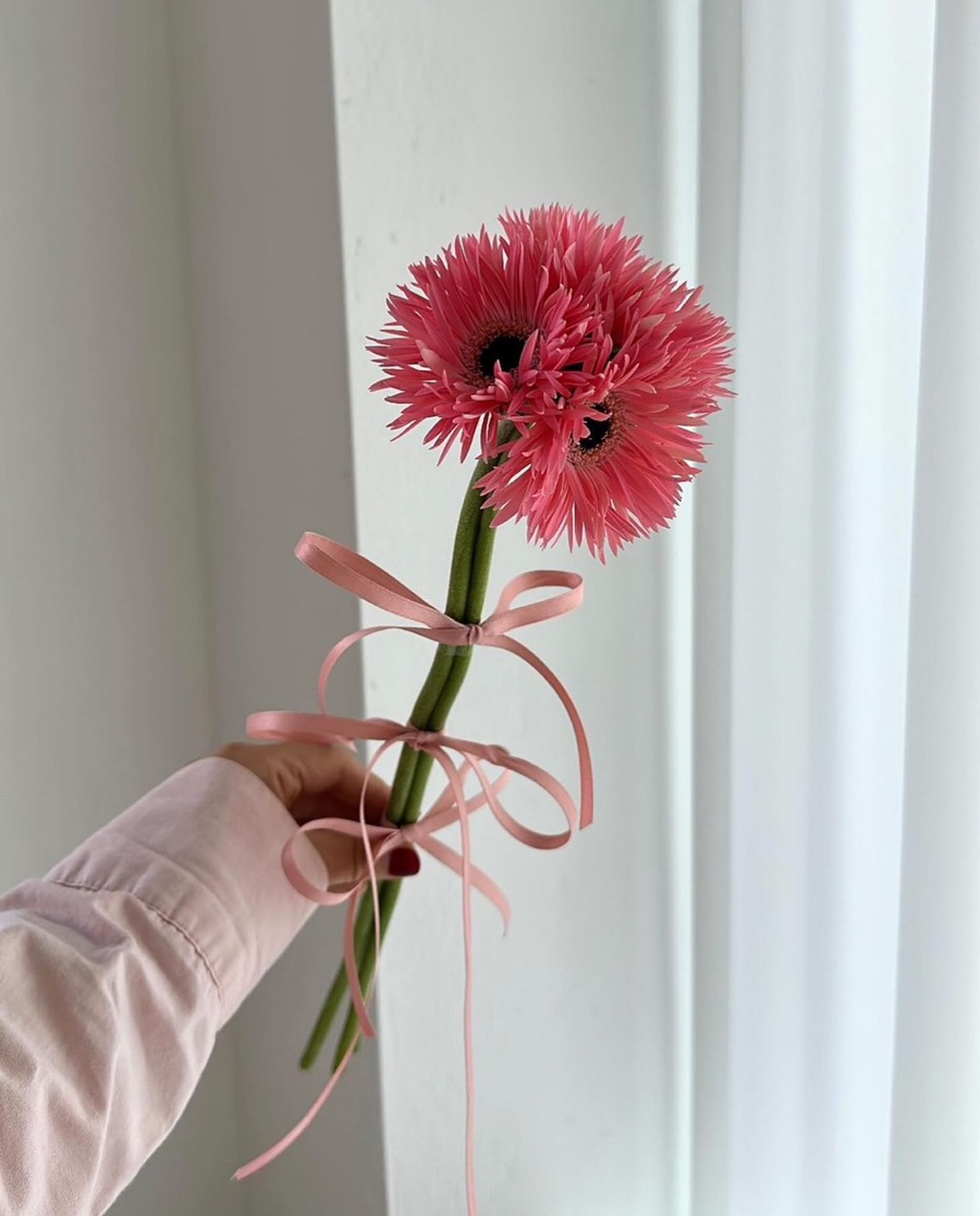 예플리 이미지
