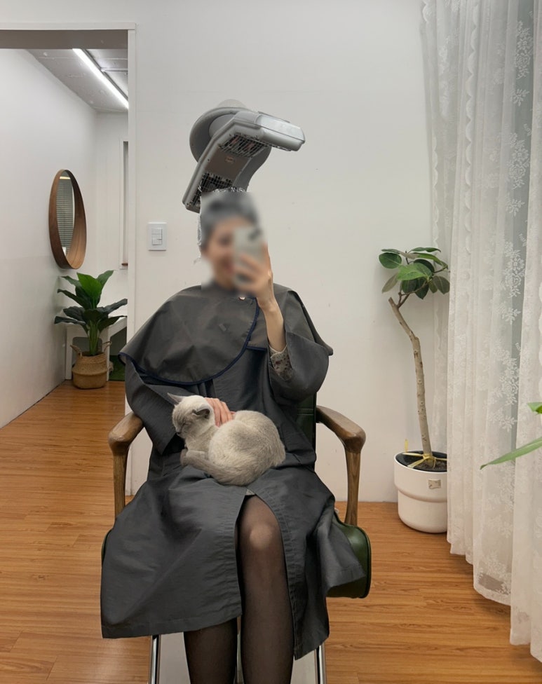 라오르헤어 이미지