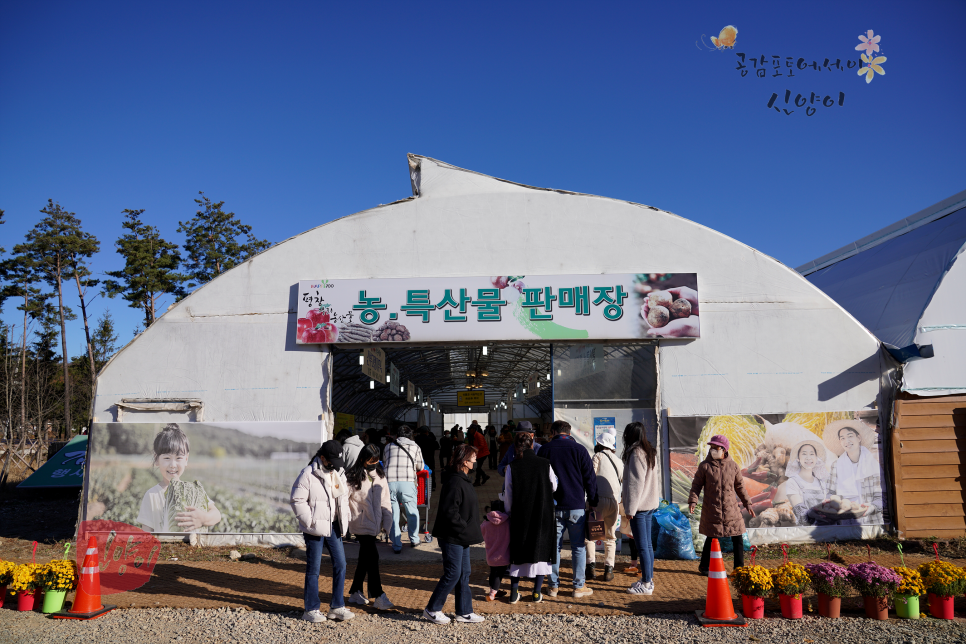 평창농부들 이미지