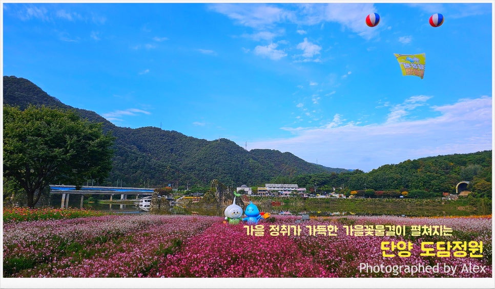 도담정원 이미지