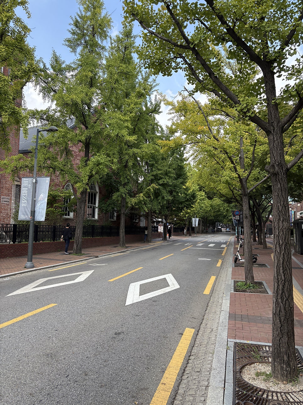 로이세무회계 이미지