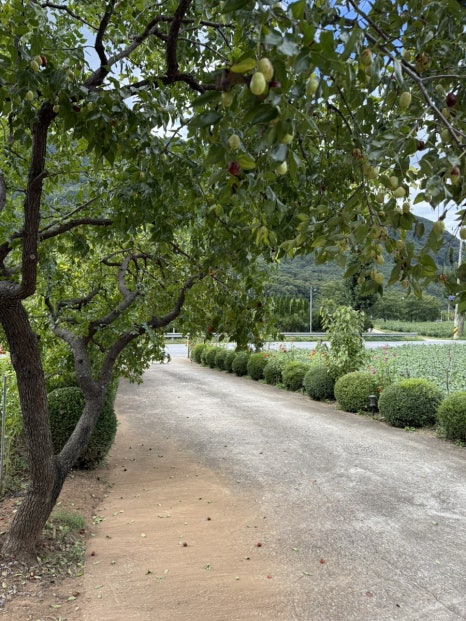 사인암472 이미지