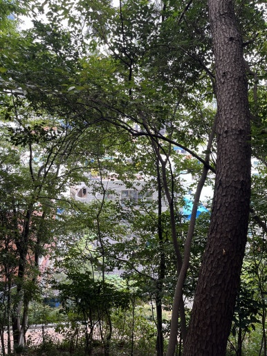 홍헤원 이미지