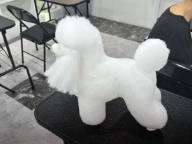 한국미용디자인협회 이미지