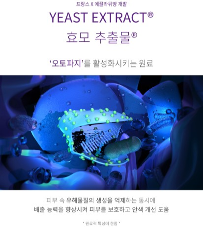 에끌라 이미지