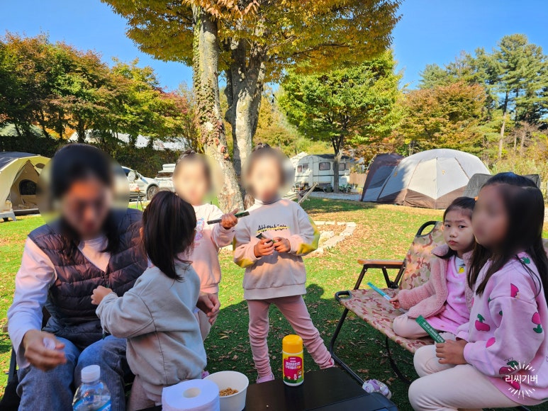 잭스캠프 이미지