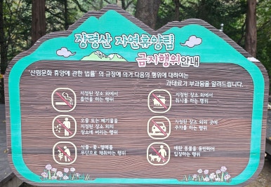 장령산자연휴양림 야영장 이미지