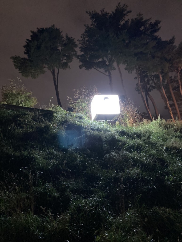 디저트39강릉 이미지