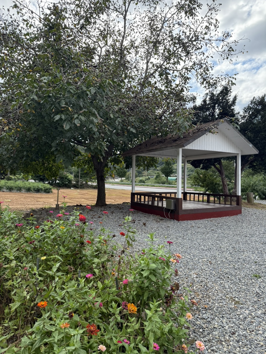 사인암472 이미지