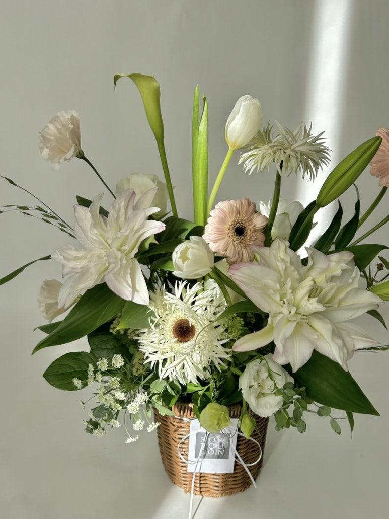 하유두인FLOWER 이미지