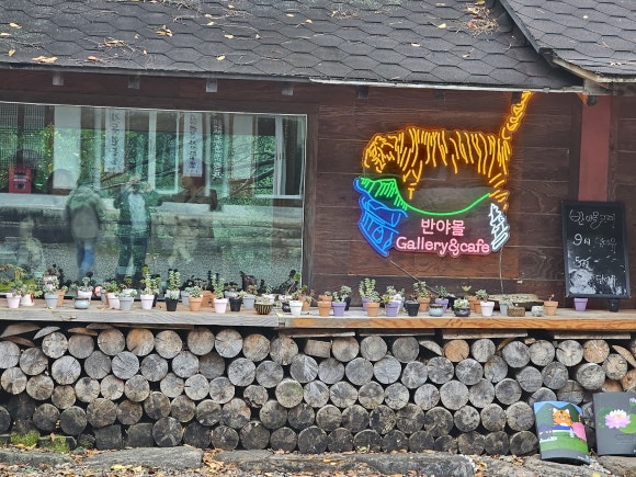 반야몰 이미지
