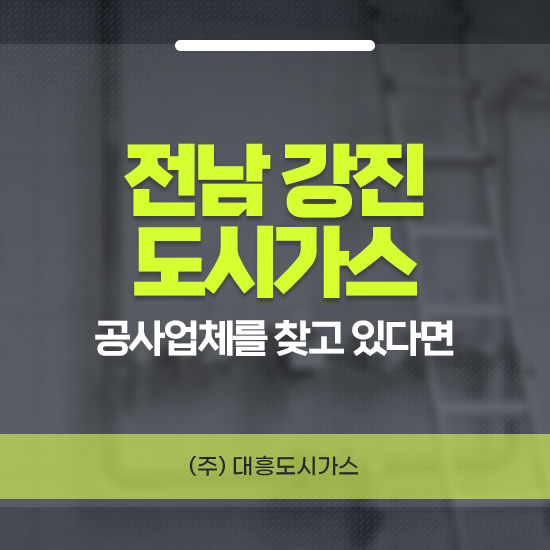 대흥엘피지 이미지