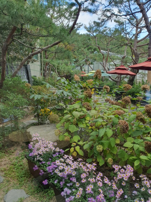 카페빵선생 이미지