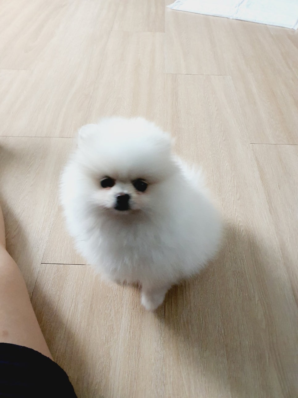 빗과가위소리 이미지