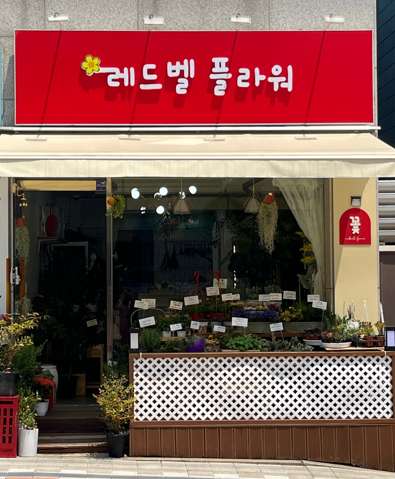레드벨플라워 이미지