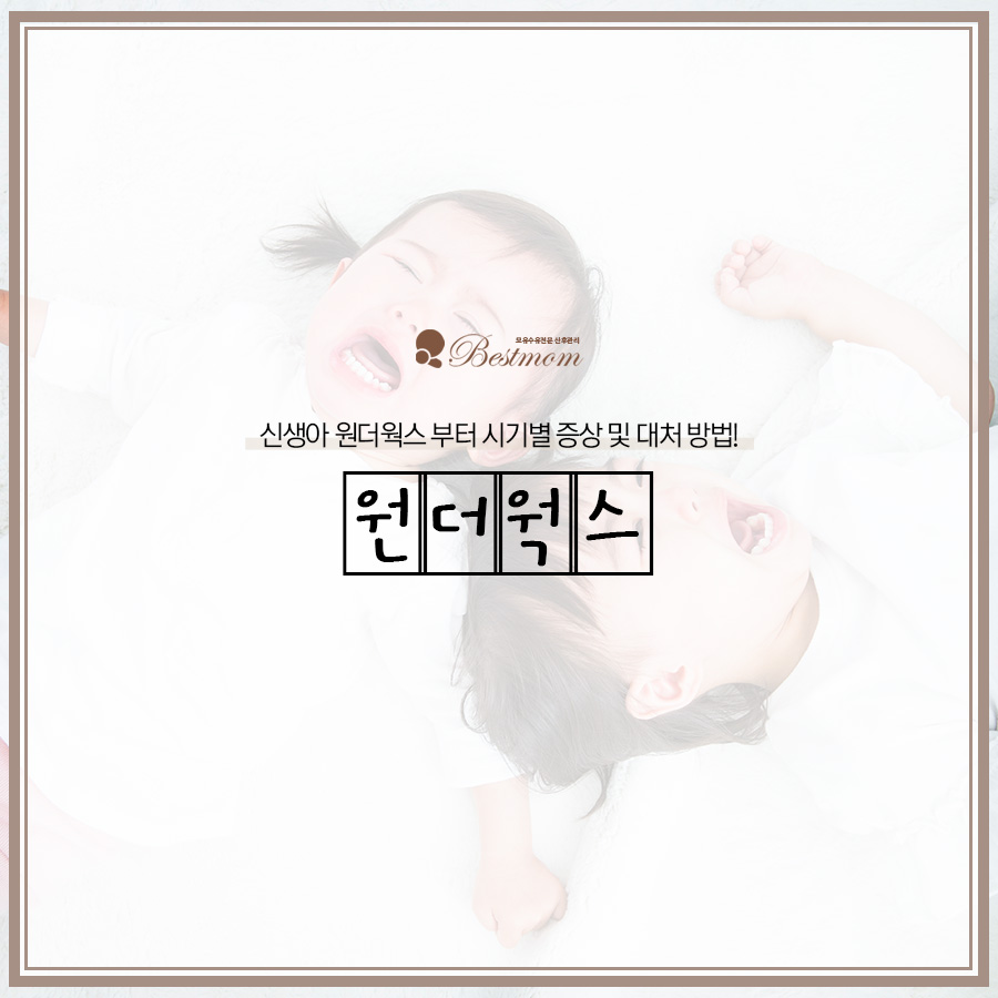 원더웍스 이미지