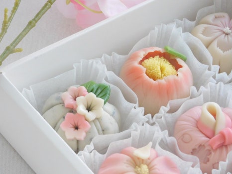 양지한복 이미지