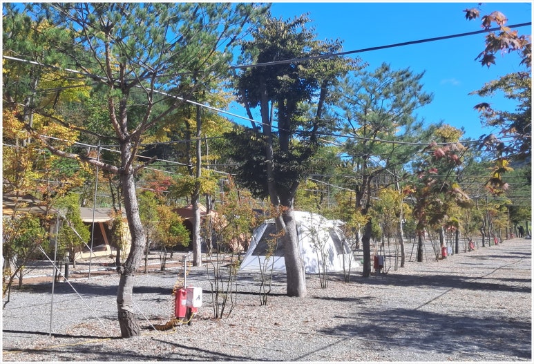 옥화포시즌캠핑장 이미지
