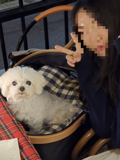 그래니살룬영통 이미지