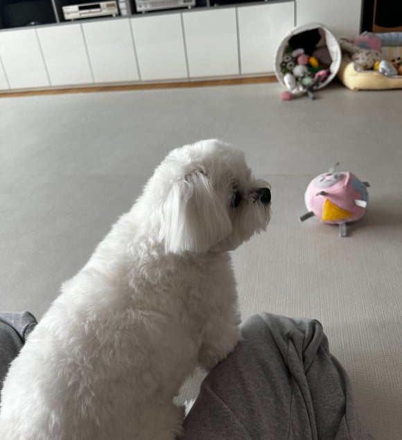 히피펑키클럽 이미지