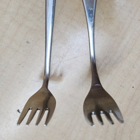 물음가득아이와숲 이미지