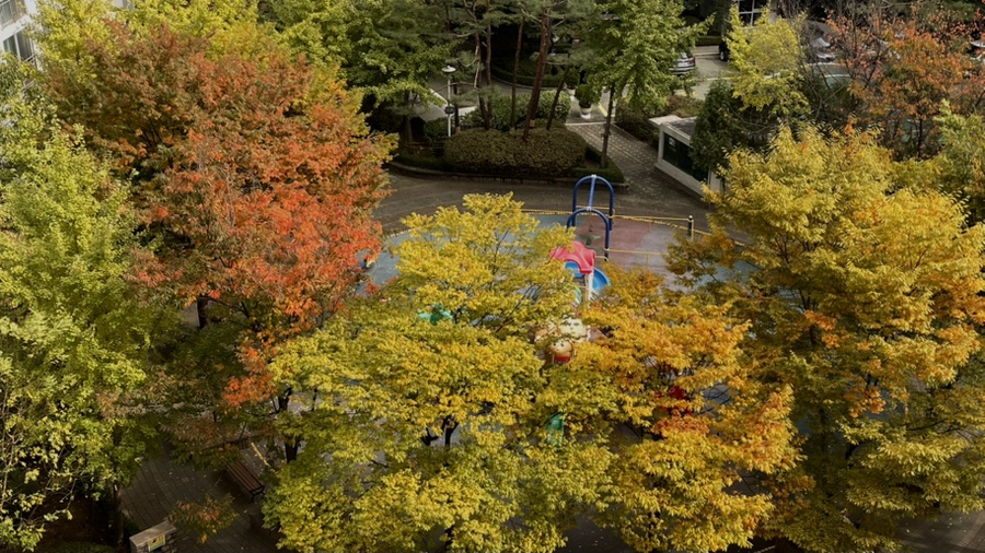 예림여행사주 이미지