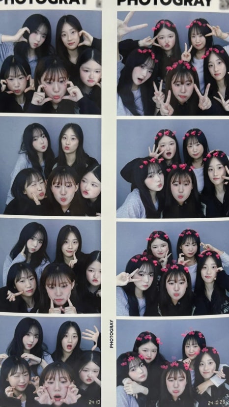 포토그레이나성 이미지