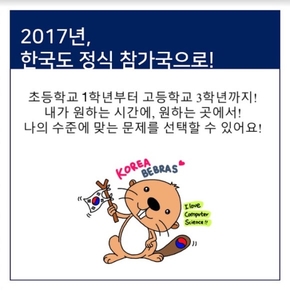 비버코딩 이미지