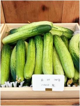 과일의모든것 이미지