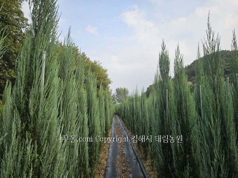블루농원 이미지