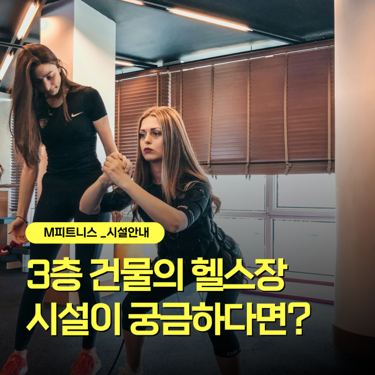 경주다이소충효점 이미지