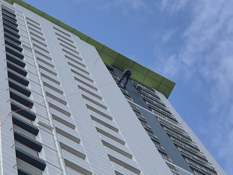 스타페인트 이미지