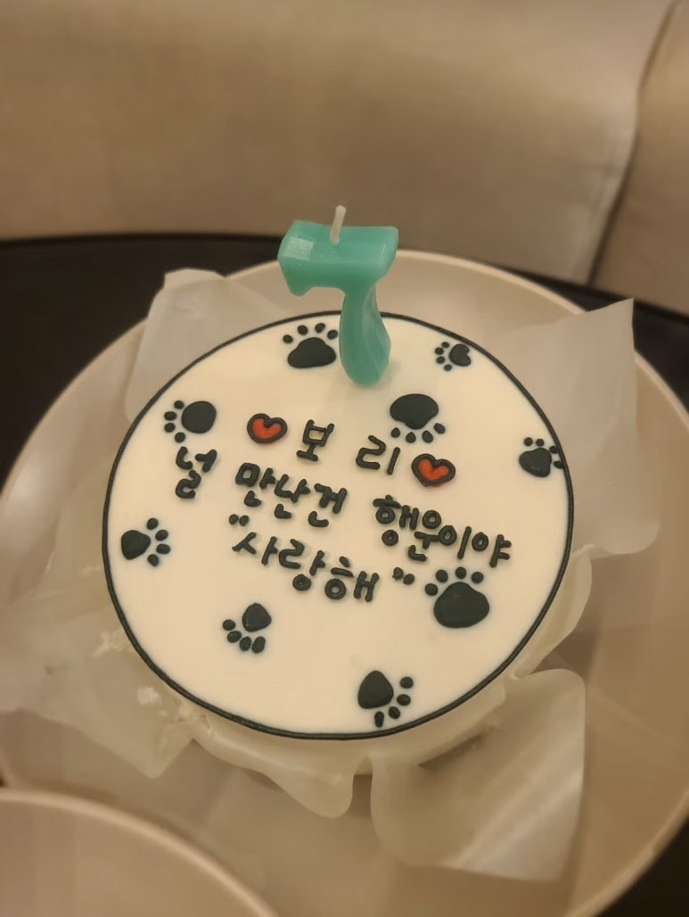 포레스트258/포레스트258펜션 이미지