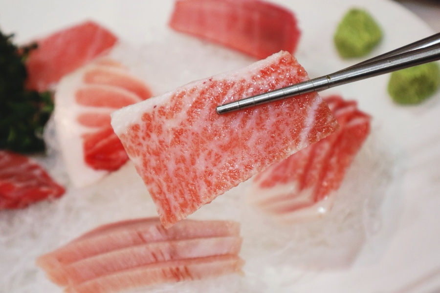 해도참치 이미지