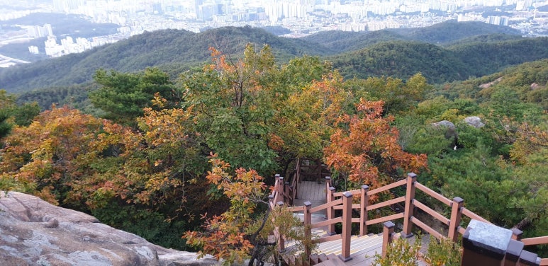 온요양보호사교육원 이미지